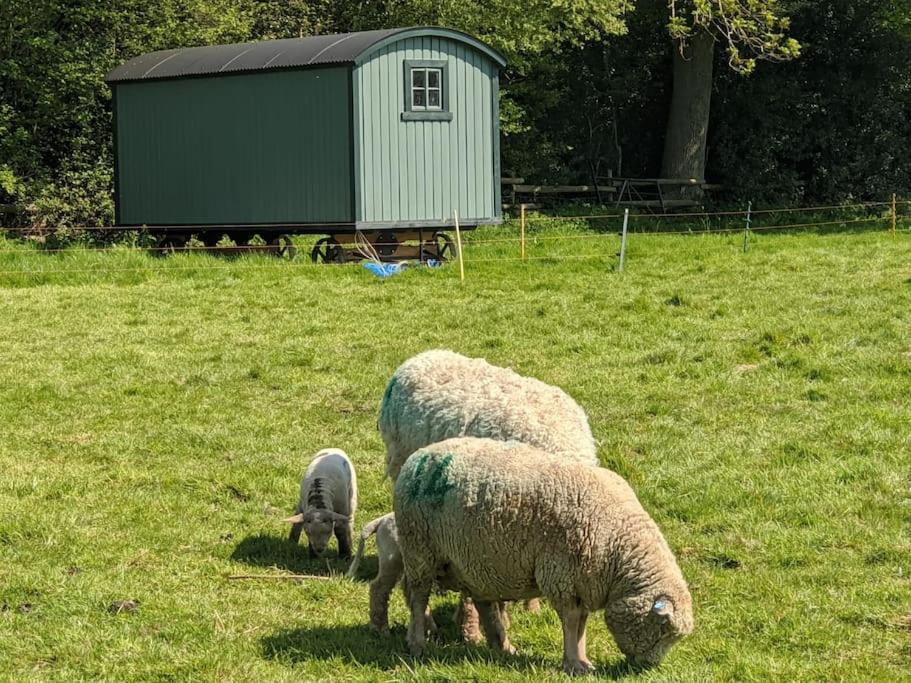 The Piggery Βίλα Cowfold Εξωτερικό φωτογραφία
